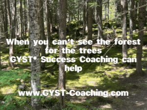 When You Can't See The Forest For The Trees GYST* Success Coaching Can Help 